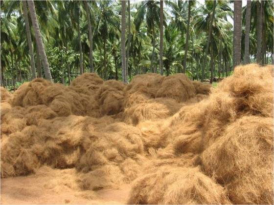 coconut Fiber