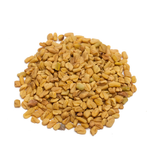 Fenugreek