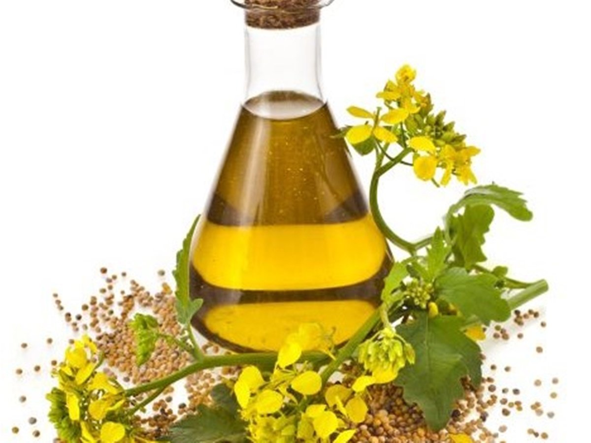 canola Oil