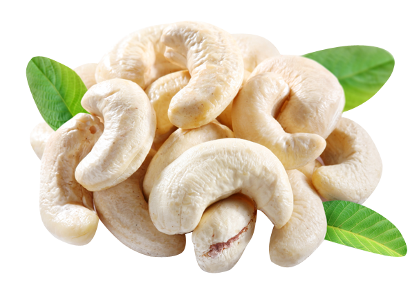 Cashews Nuts