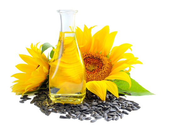 Sunflower oil