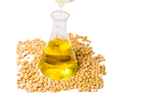 Soybean Oil