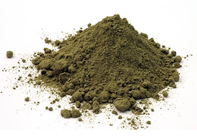 sea weed