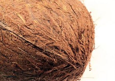 coconut Fiber