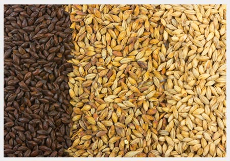 Barley Malt