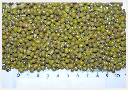 Mung Beans