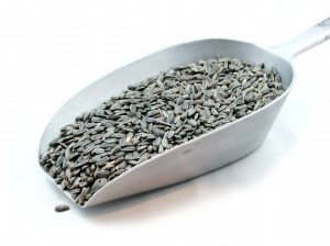 Sunflower Seeds